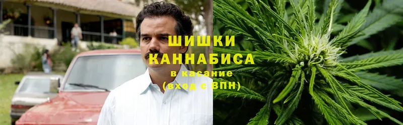 Как найти наркотики Завитинск blacksprut рабочий сайт  ГАШИШ  Бошки Шишки 