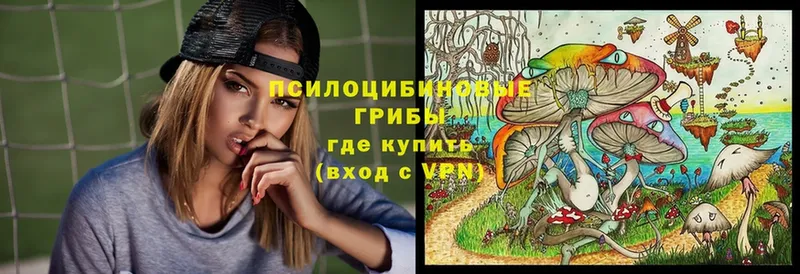 Галлюциногенные грибы Psilocybine cubensis  купить   Завитинск 